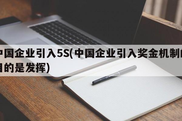 中国企业引入5S(中国企业引入奖金机制的目的是发挥)