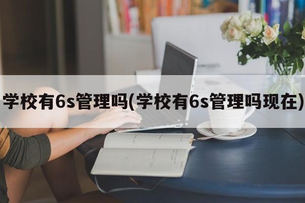 学校有6s管理吗(学校有6s管理吗现在)